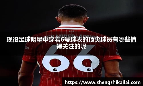 现役足球明星中穿着6号球衣的顶尖球员有哪些值得关注的呢