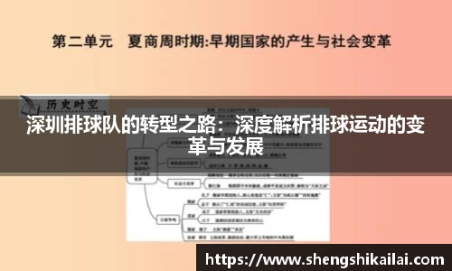 深圳排球队的转型之路：深度解析排球运动的变革与发展
